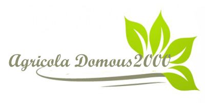 AGRICOLAE DOMUS 2000